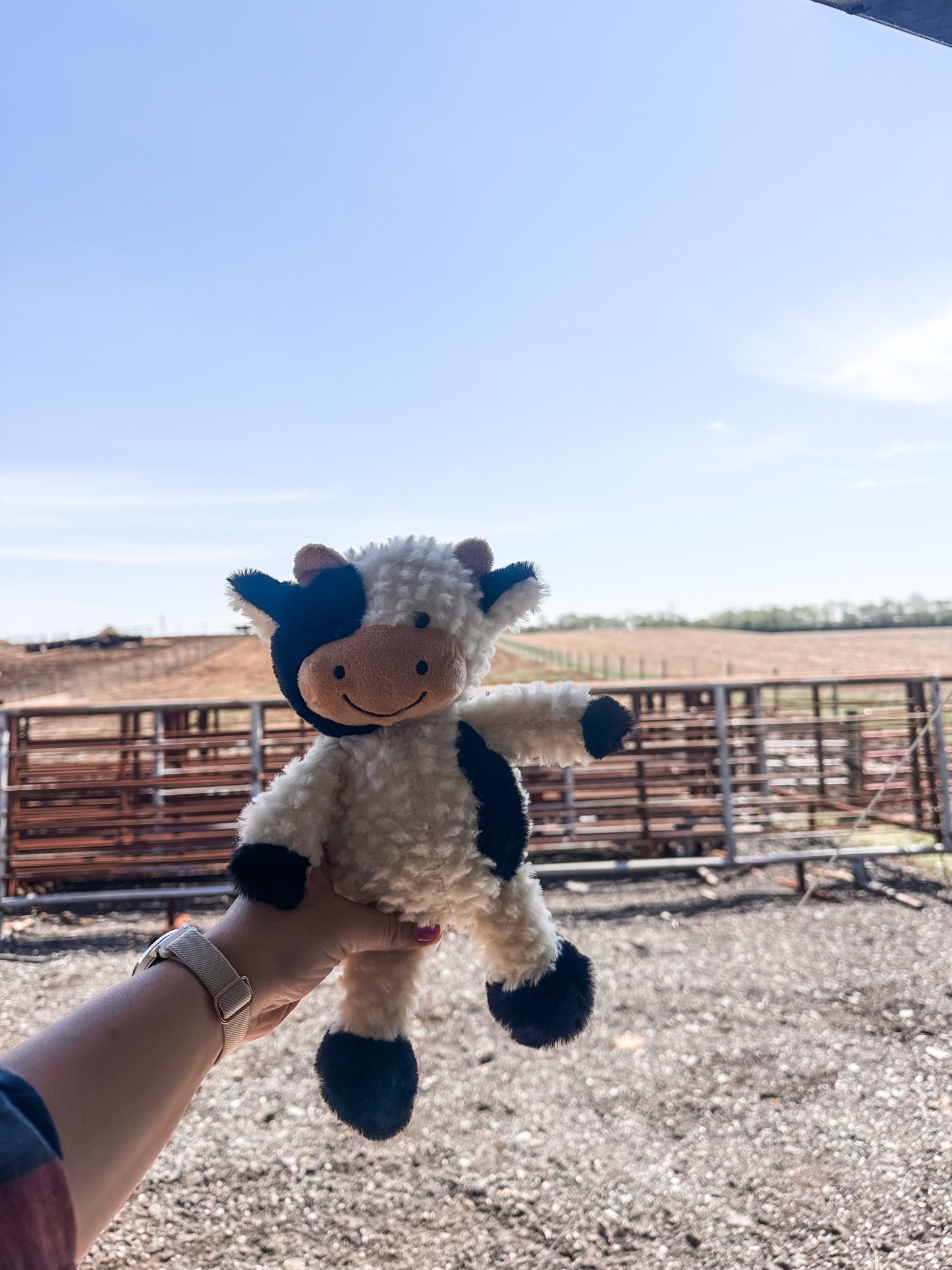 Stuffed Animal