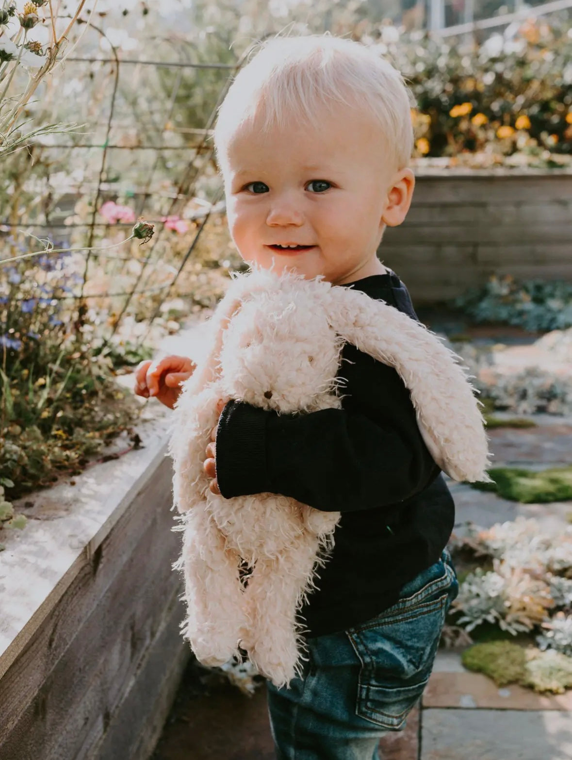 Harey the Bunny