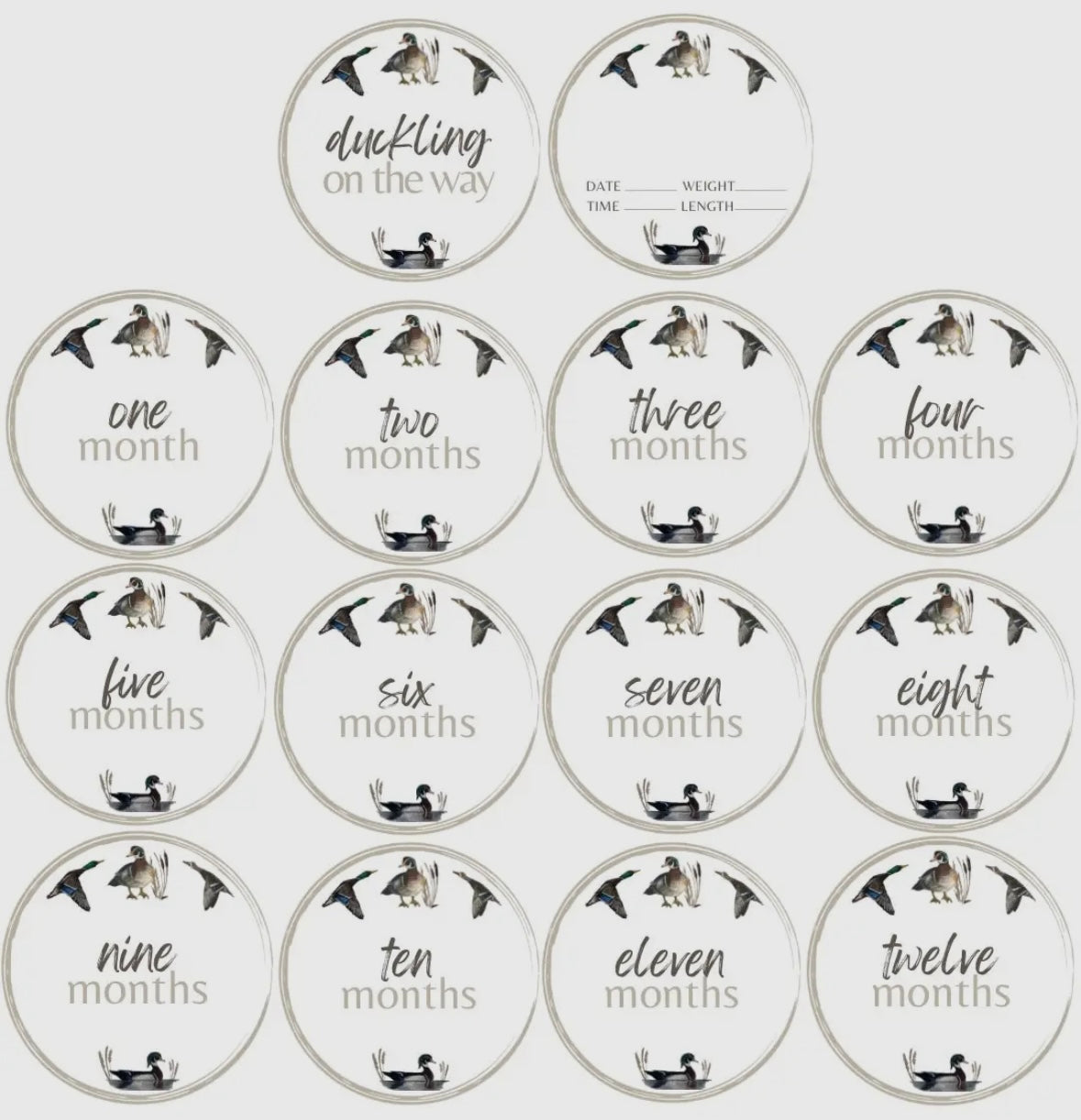 Little Duckling Milestone Cards