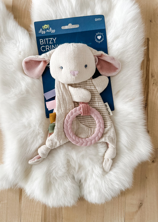 Crinkle Bunny Sensory Toy